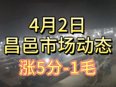 4月2日 琨福市場大姜價格（漲5分-1毛） (149播放)