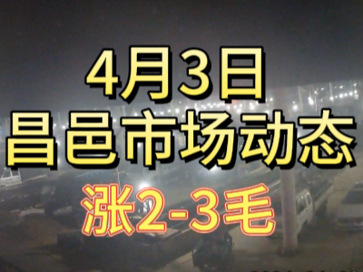 4月3日 琨福市場大姜價格（漲2-3毛） (137播放)
