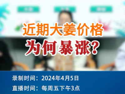 近期大姜價格為何暴漲？ (105播放)