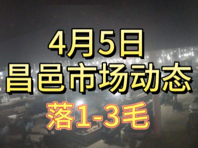 4月5日 琨福市場大姜價格（落1-3毛） (92播放)