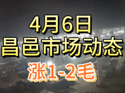 4月6日 琨福市場大姜價格（漲1-2毛） (82播放)