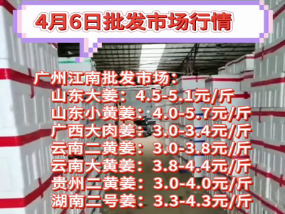 4月6日廣州江南批發市場生姜價格行情 (141播放)