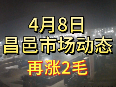 4月8日 琨福市場大姜價格（再漲2毛） (92播放)