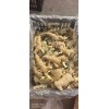 大量供應(yīng)頭芽姜種