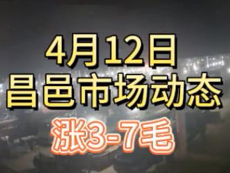 4月12日 琨福市場大姜價格（漲3-7毛） (127播放)