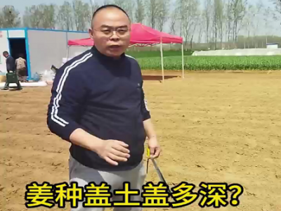 姜種蓋土蓋多深 (98播放)