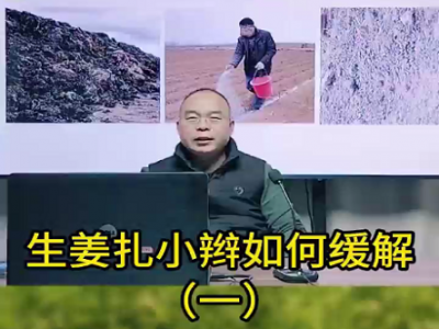 生姜扎小辮如何緩解？ ()