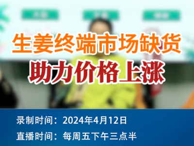 生姜終端市場缺貨 助力價格上漲 (81播放)