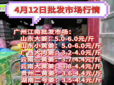 4月12日廣州江南批發市場生姜價格行情 (153播放)