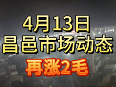 4月13日 琨福市場大姜價格（再漲2毛） (133播放)
