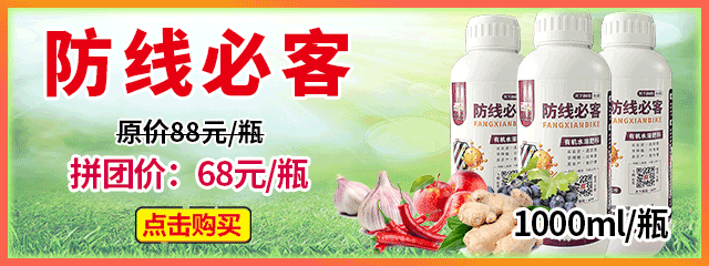 防線必客