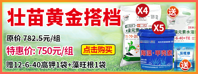 壯苗黃金搭檔