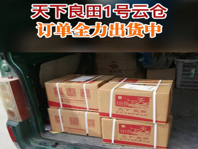 天下良田1號云倉訂單全力出貨中...... ()