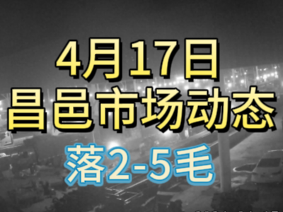4月17日 琨福市場大姜價格（落2-5毛） (99播放)
