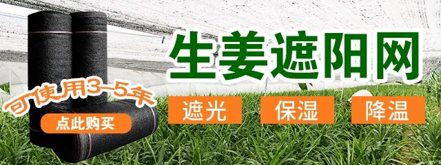 4-2.webp