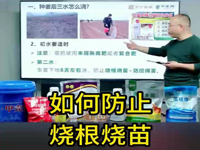 如何防止燒根燒苗？ ()