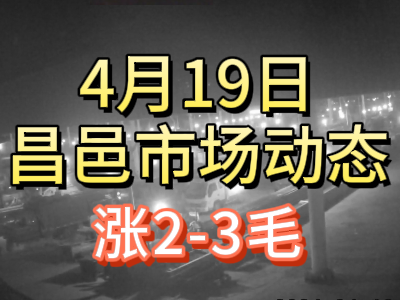 4月19日 琨福市場大姜價格（漲2-3毛） (83播放)