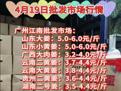 4月19日廣州江南批發市場生姜價格行情 (96播放)