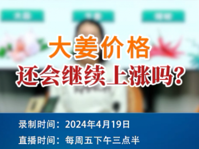 大姜價格還會繼續(xù)上漲嗎？ (87播放)