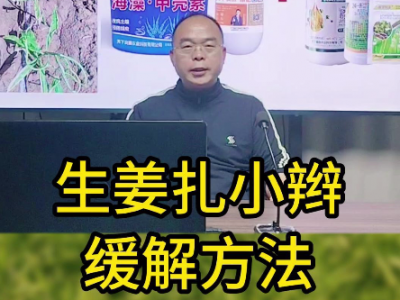 生姜扎小辮緩解方法 ()