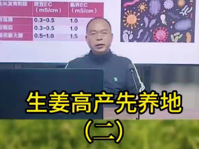 生姜高產先養地（二） (131播放)