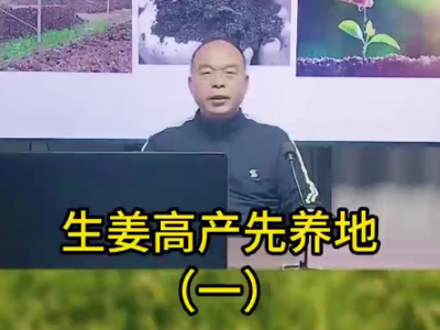 生姜高產先養地（一） (124播放)