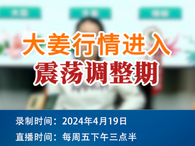 大姜行情進(jìn)入震蕩調(diào)整期 (97播放)