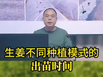 生姜不同種植模式的出苗時間 ()