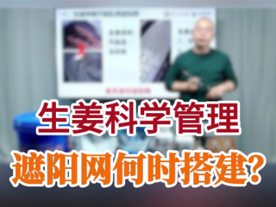 遮陽網何時搭建？ ()