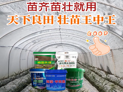 苗齊苗壯就用 天下良田壯苗王中王 ()