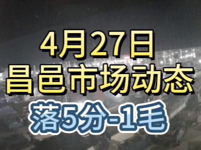 4月27日 琨福市場大姜價格（落5分-1毛） (110播放)
