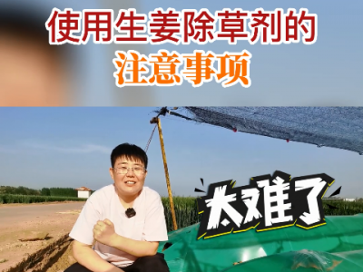 使用生姜除草劑的淮意事項 ()
