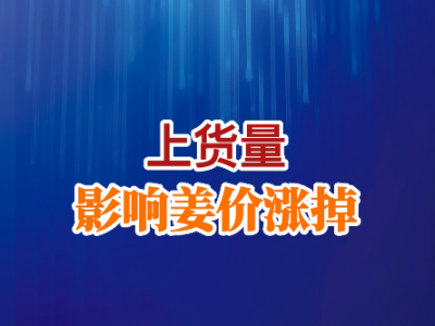 上貨量影響姜價漲掉 ()