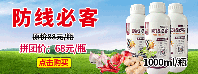 防線必客
