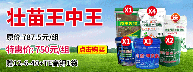 壯苗王中王
