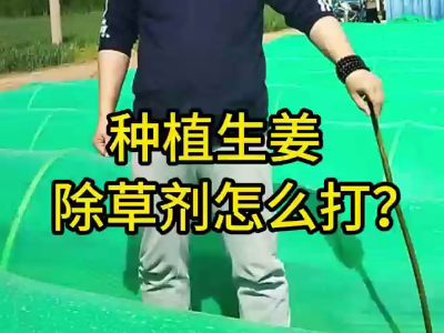 種植生姜 除草劑怎么打？ ()