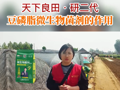天下良田·研二代·豆磷脂微生物菌劑的作用 ()