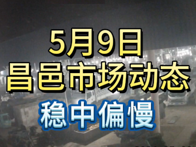 5月9日 琨福市場(chǎng)大姜價(jià)格（穩(wěn)中偏慢） (108播放)