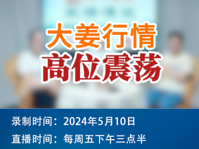大姜行情高位震蕩 ()
