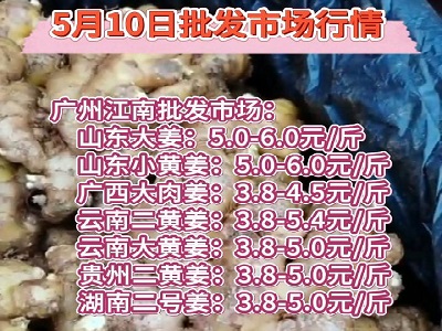 5月10日廣州江南批發市場生姜價格行情 (101播放)