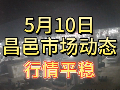 5月10日 琨福市場(chǎng)大姜價(jià)格（行情平穩(wěn)） (106播放)