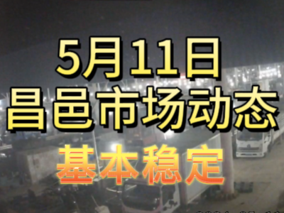 5月11日 琨福市場(chǎng)大姜價(jià)格（基本穩(wěn)定） (94播放)