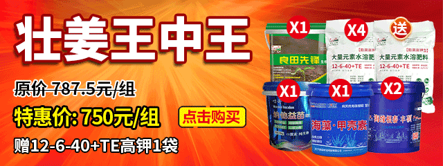 壯姜王中王