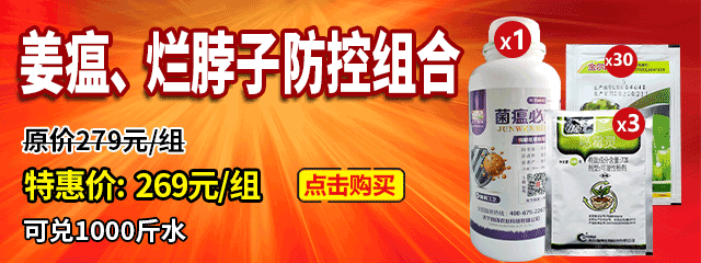 姜瘟、爛脖子防控組合