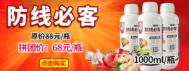 防線必客