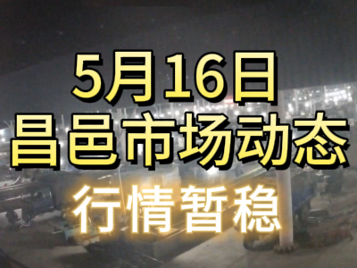 5月16日 琨福市場大姜價格（行情暫穩） (83播放)