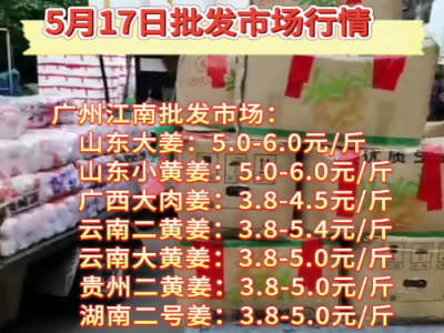 5月17日廣州江南批發市場生姜價格行情 (106播放)