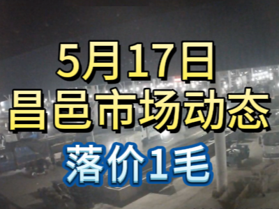 5月17日 琨福市場大姜價格（落價1毛） (93播放)