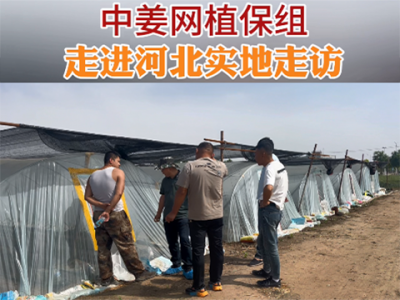 中姜網植保組走進河北實地指導！ (96播放)