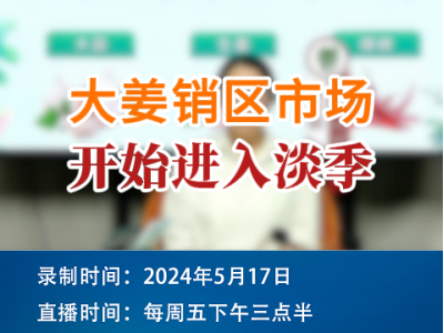 大姜銷區市場開始進入淡季！ (82播放)
